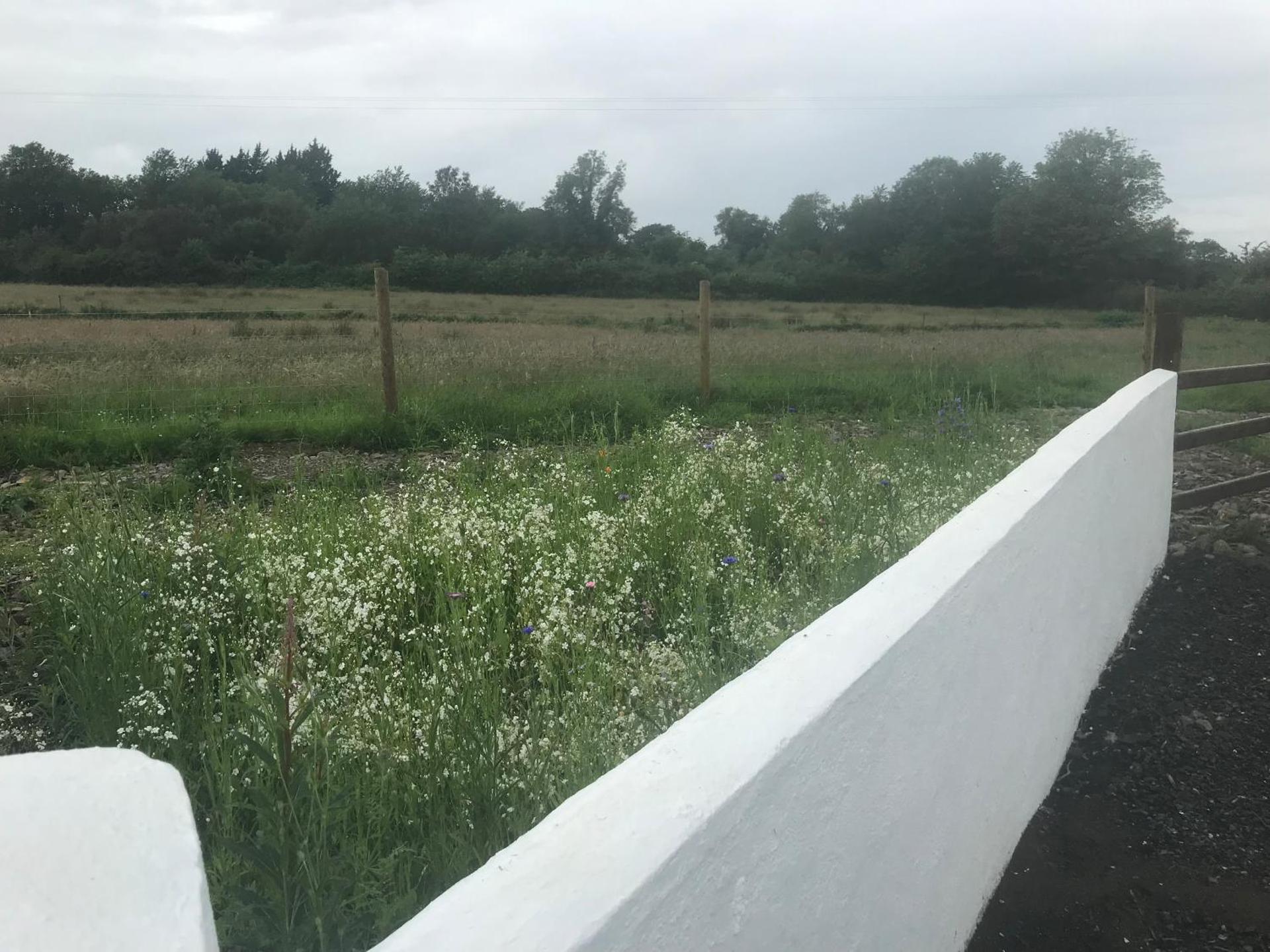 Toddys Cottage & Stables