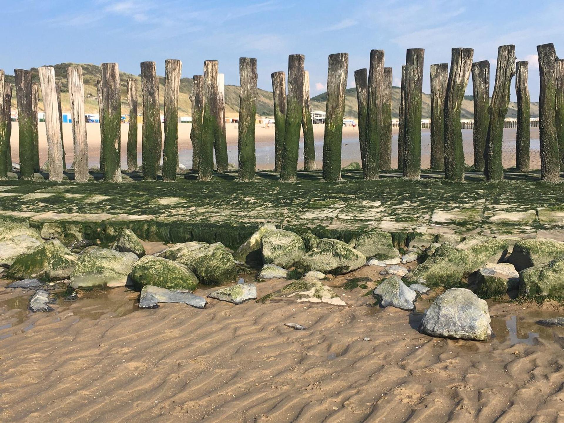 Welcome in - Vakantiewoning met zonnige tuin, dichtbij zee en strand I Noordendolfer 2-49