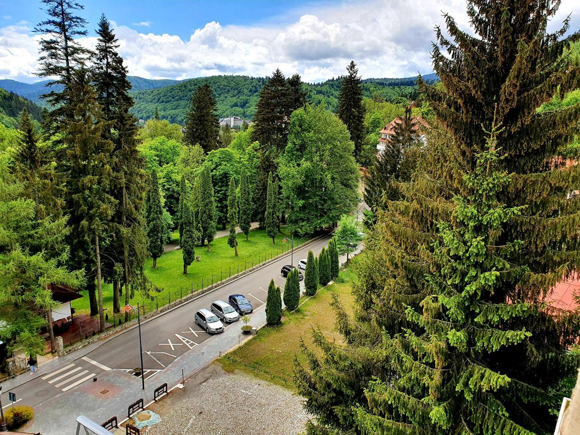 Laura Apartments Sinaia