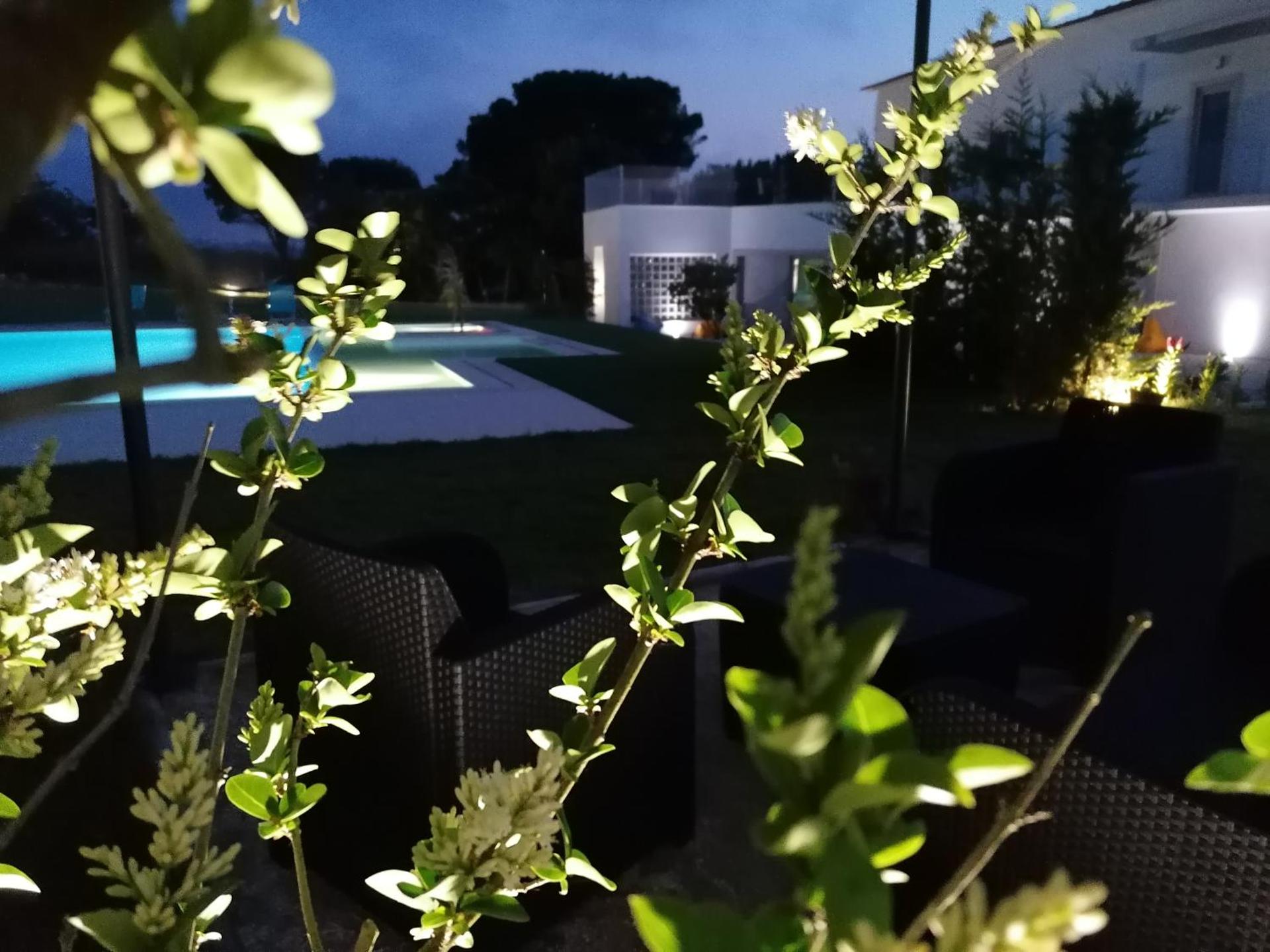 PÉROLA D'ÓBIDOS t2