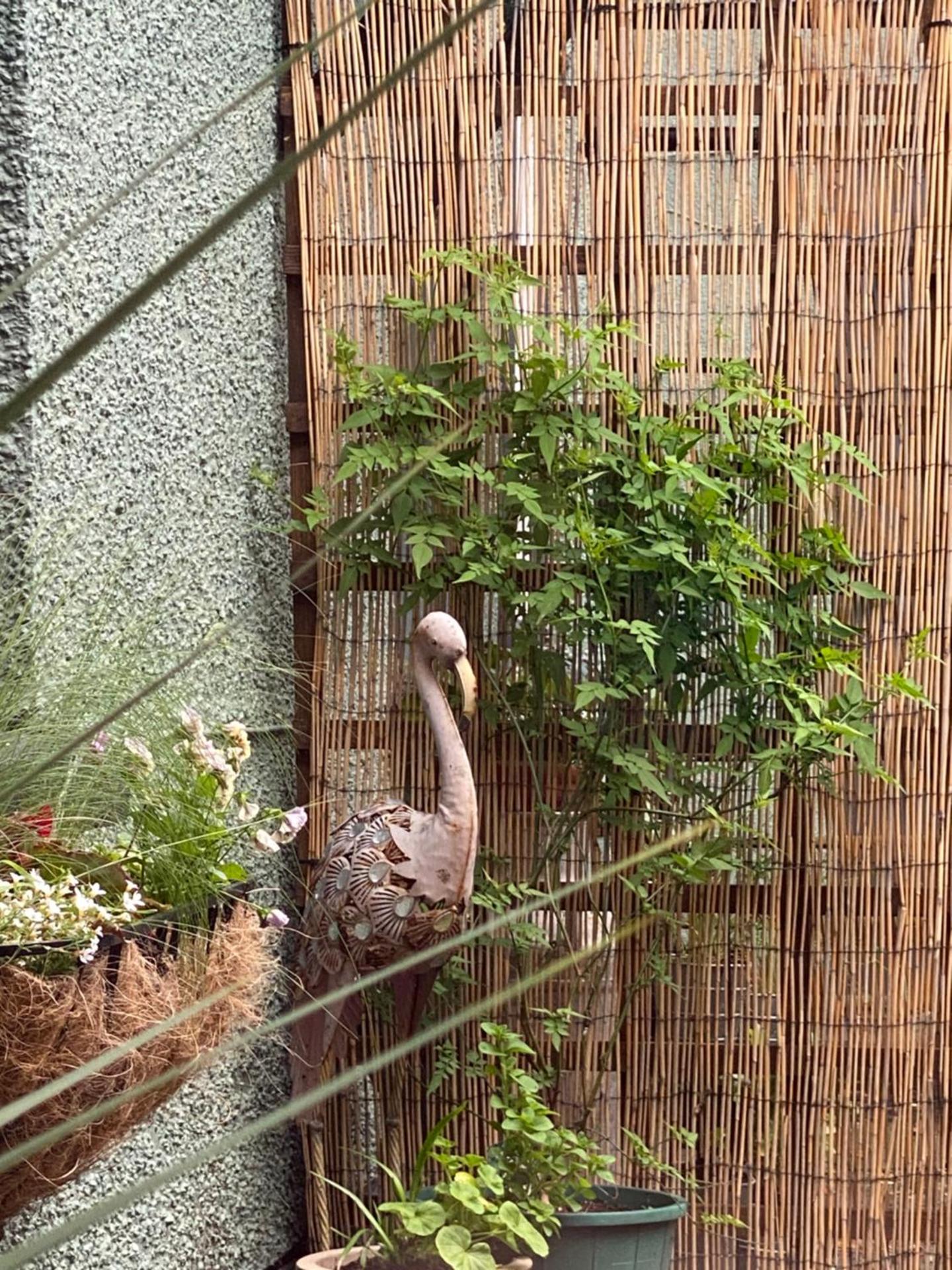 The Inn on the Moor Hotel