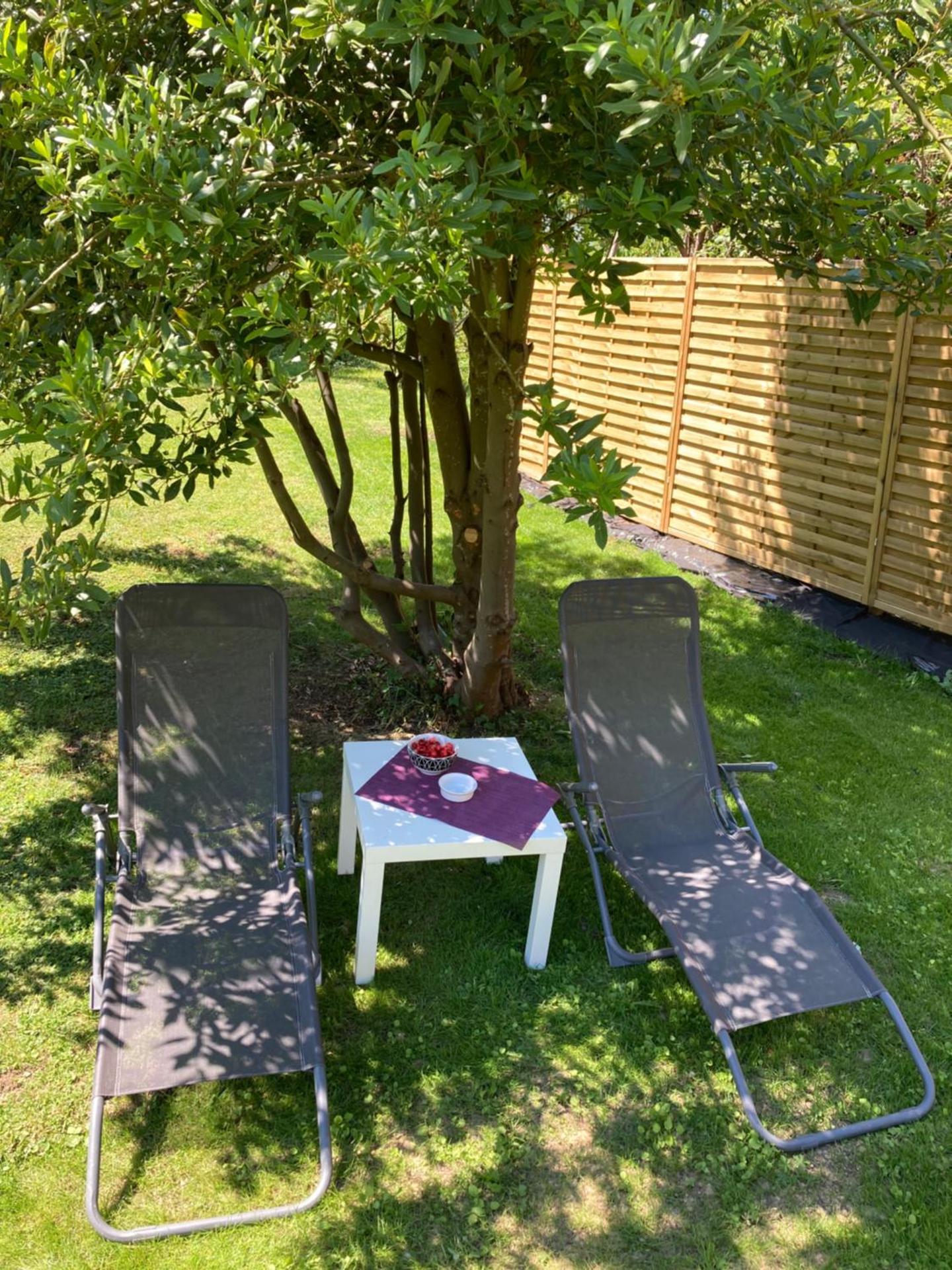 Le petit nid de chessy