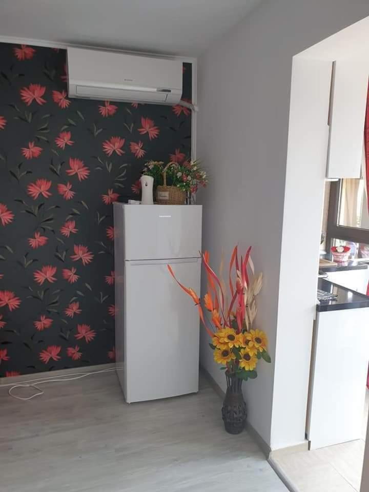 Apartament Alina