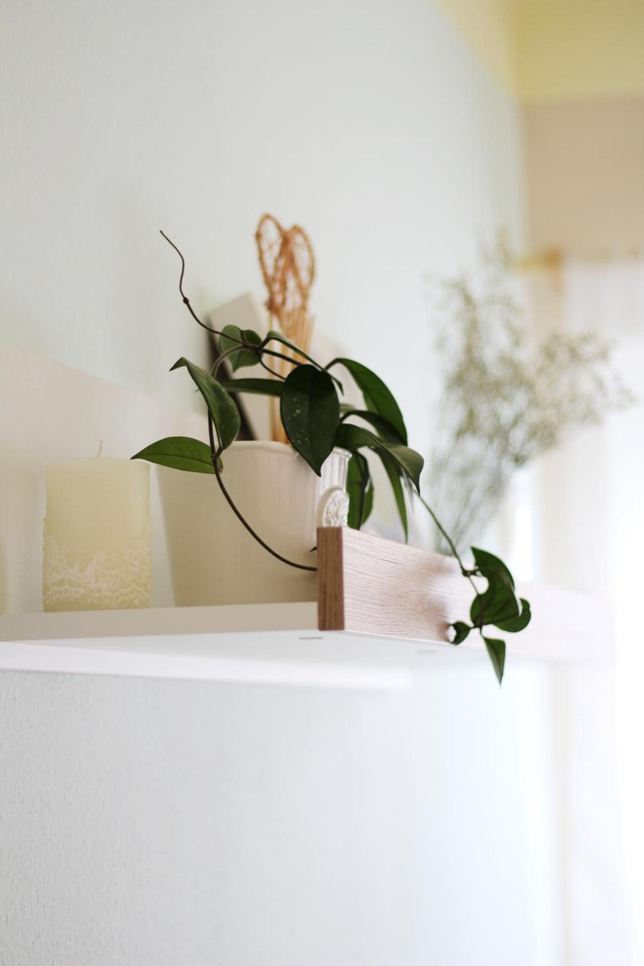 Apartmán "Pod Rokem"