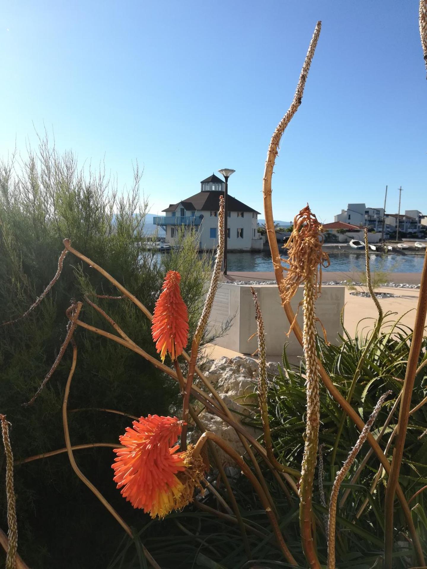 Presqu'île de Cap Coudalere avec une chambre - terrasse-aire de jeux d'enfants - Parking - piscine à partir d'avril - Terrain multisport - Terrain de pétanque