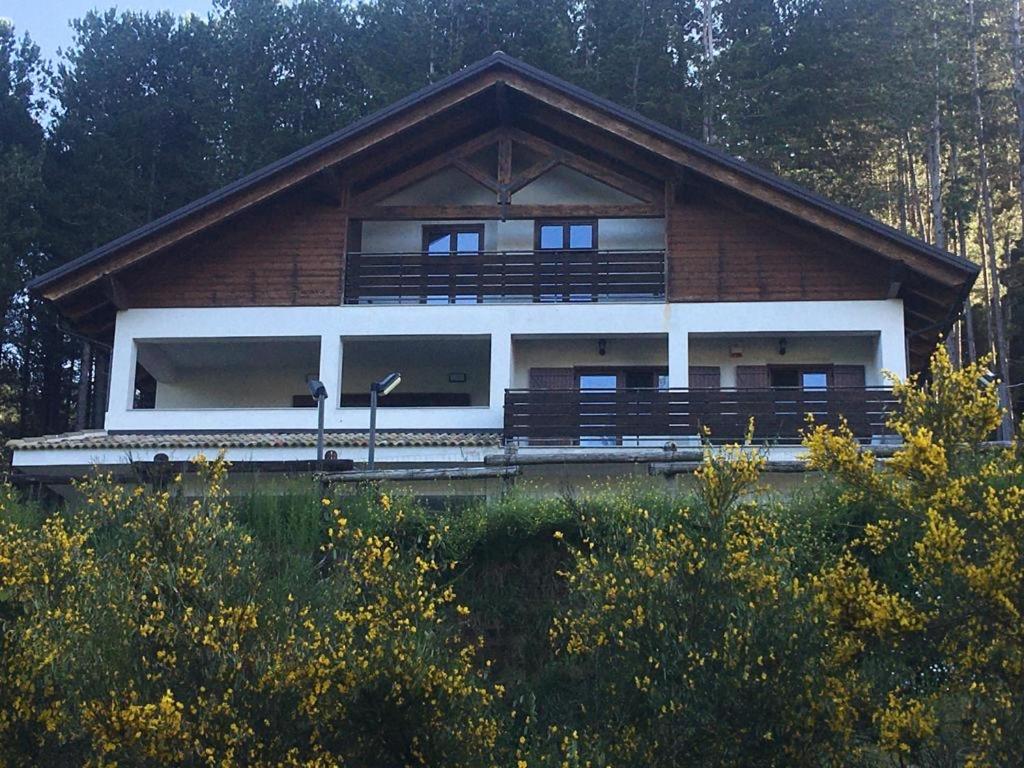 Tra il bosco e il lago