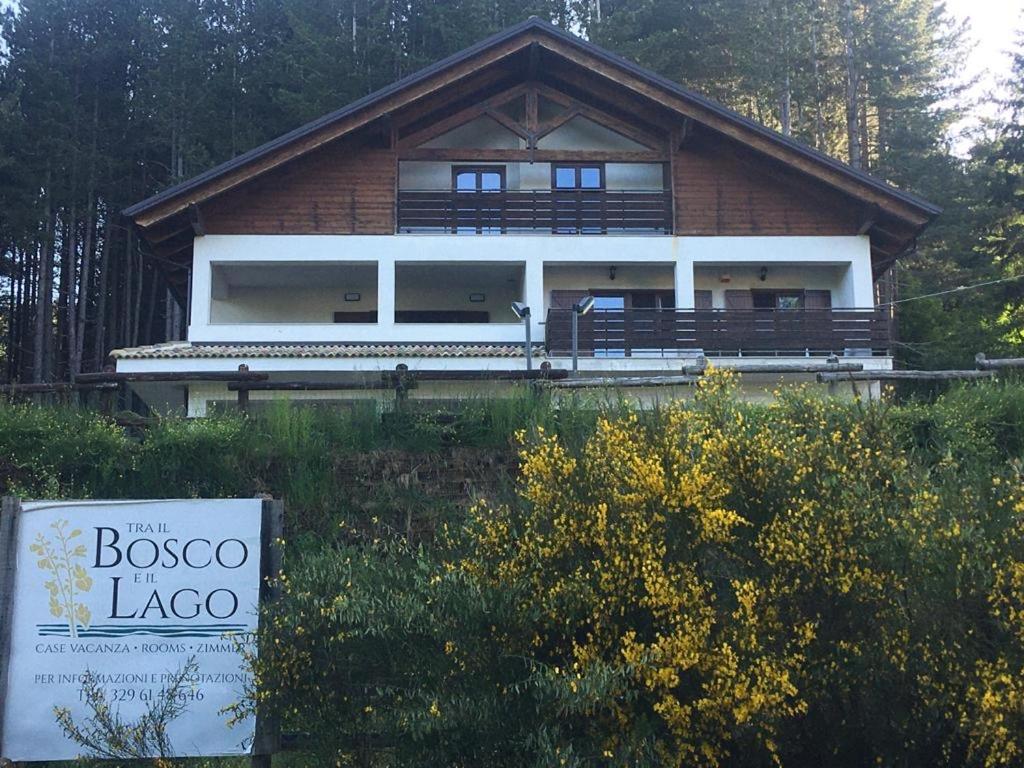 Tra il bosco e il lago