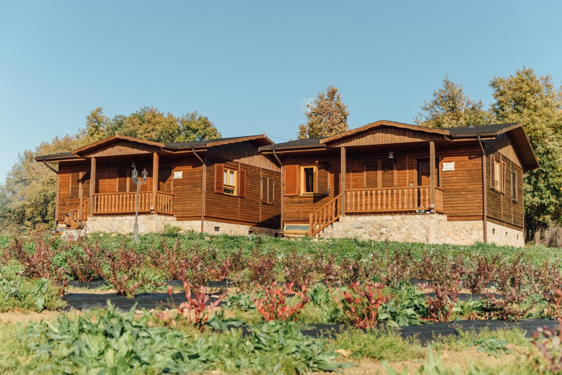 Alojamiento Turístico La alegría de la huerta