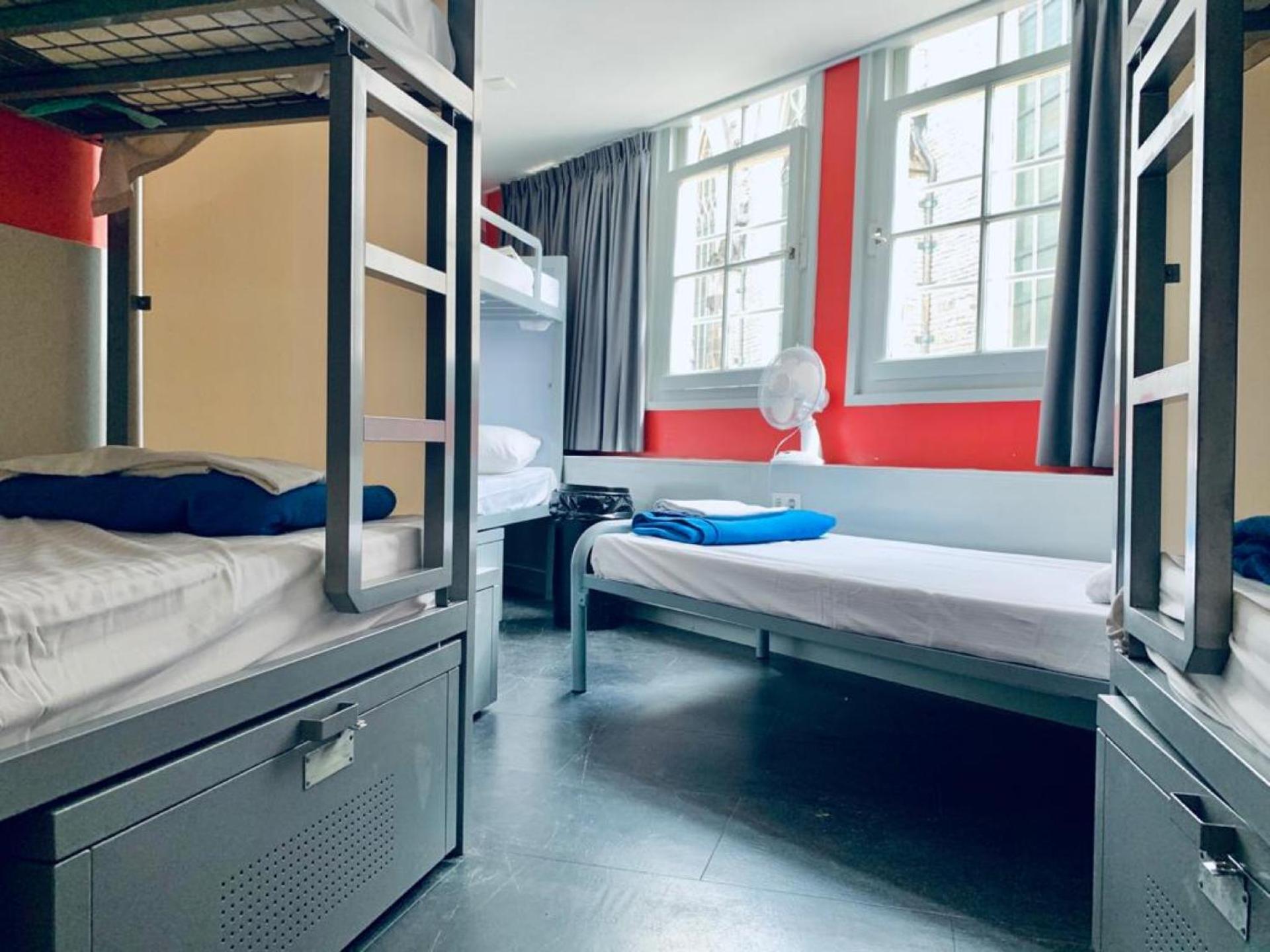 The White Tulip Hostel