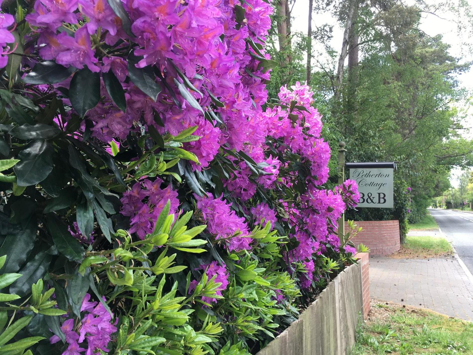 Petherton Cottage Studios