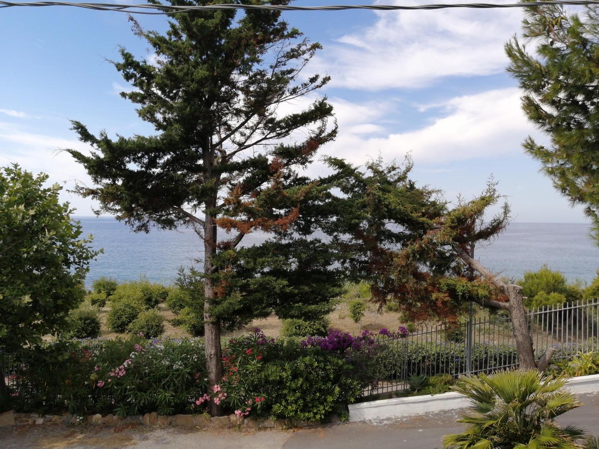 Villaggio Turistico LA VESCA