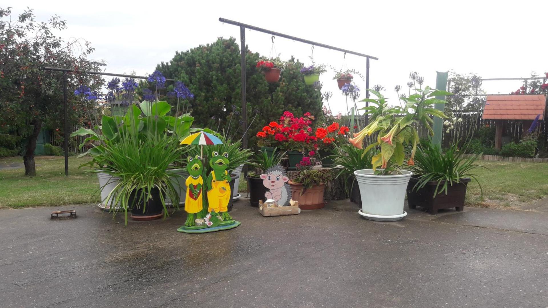 Ferienwohnung Junghanns