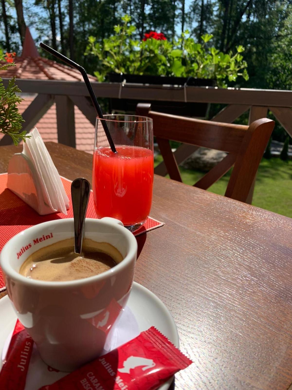 Pensiunea Favorit Ferice