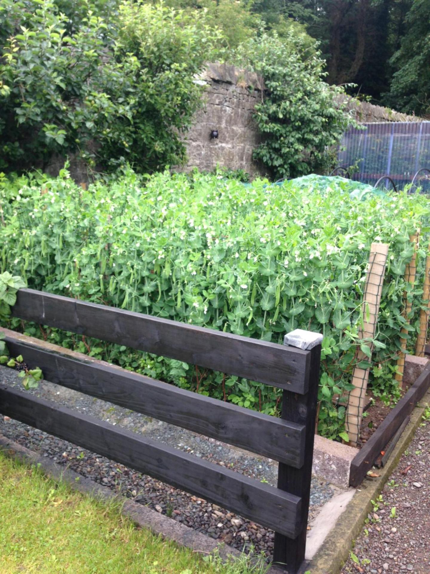 Glaslough Ramblers Rest