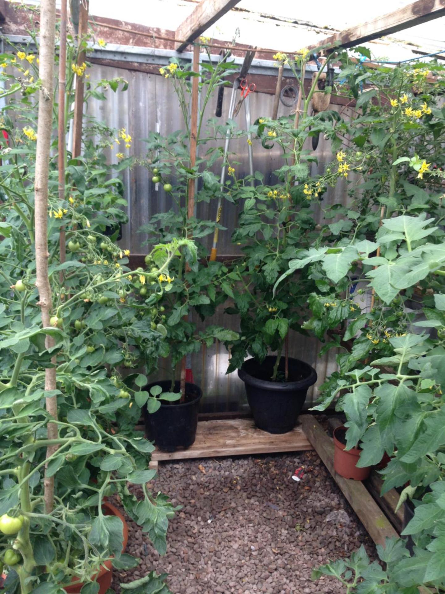 Glaslough Ramblers Rest