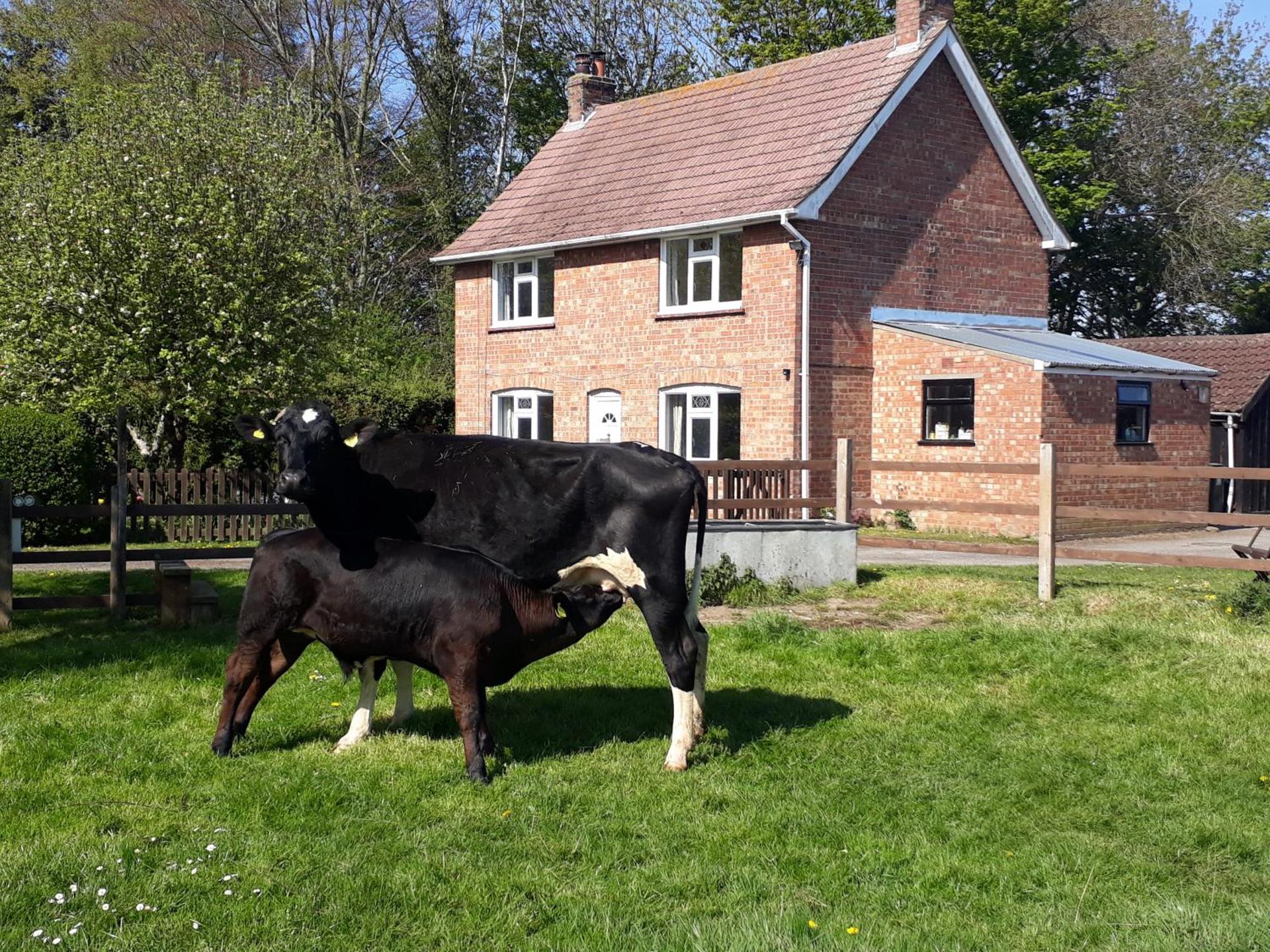 Church Farm, Legbourne Louth