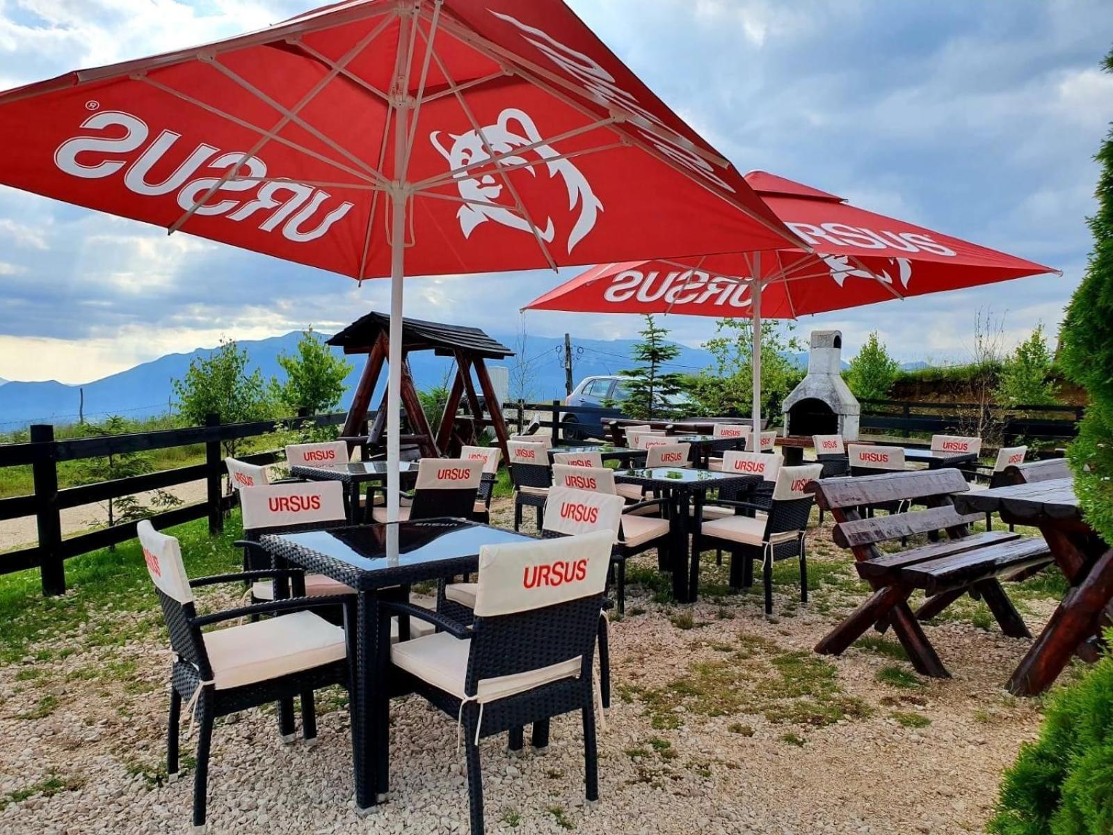 Restaurant/places to eat