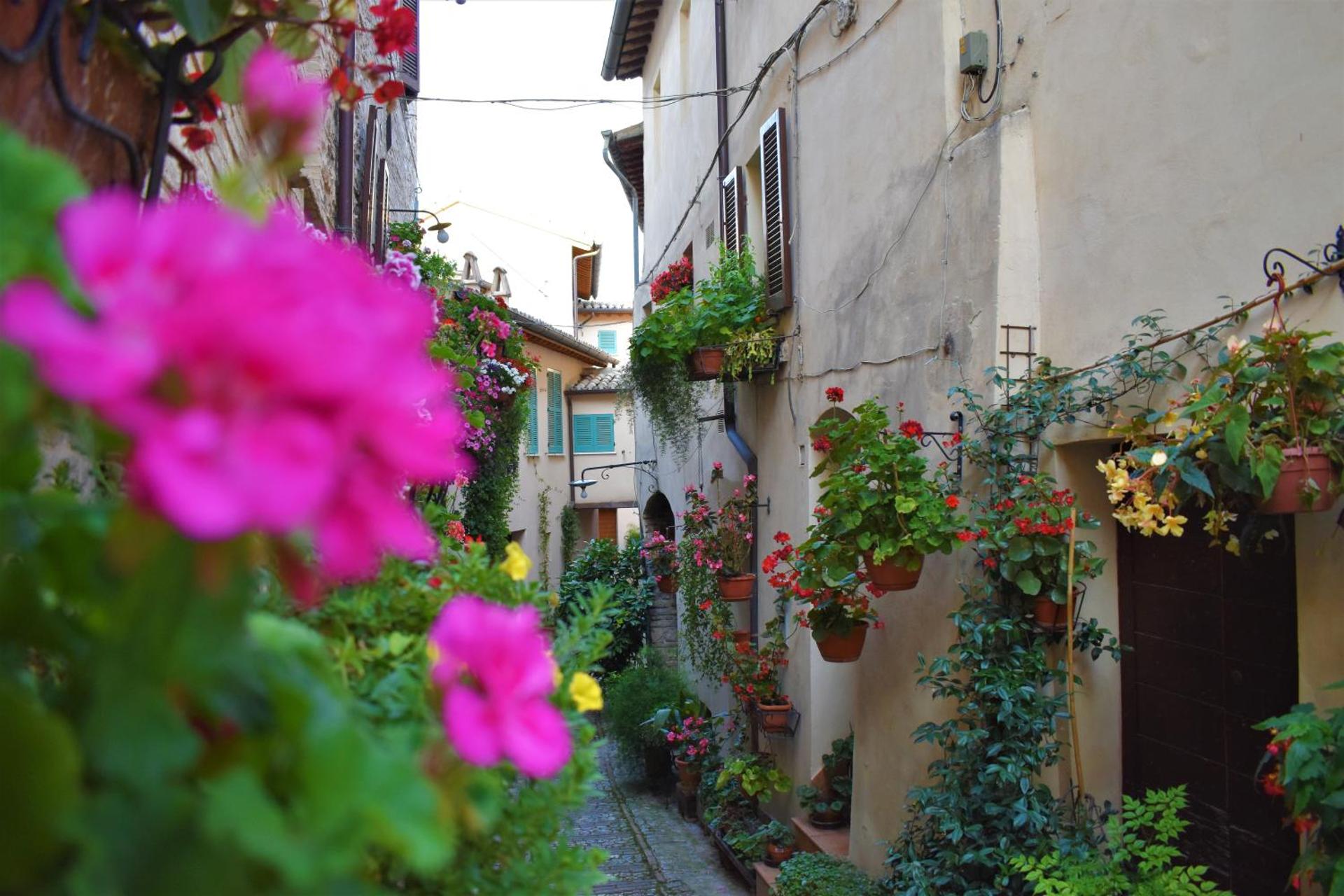 Borgo San Sisto Apartment