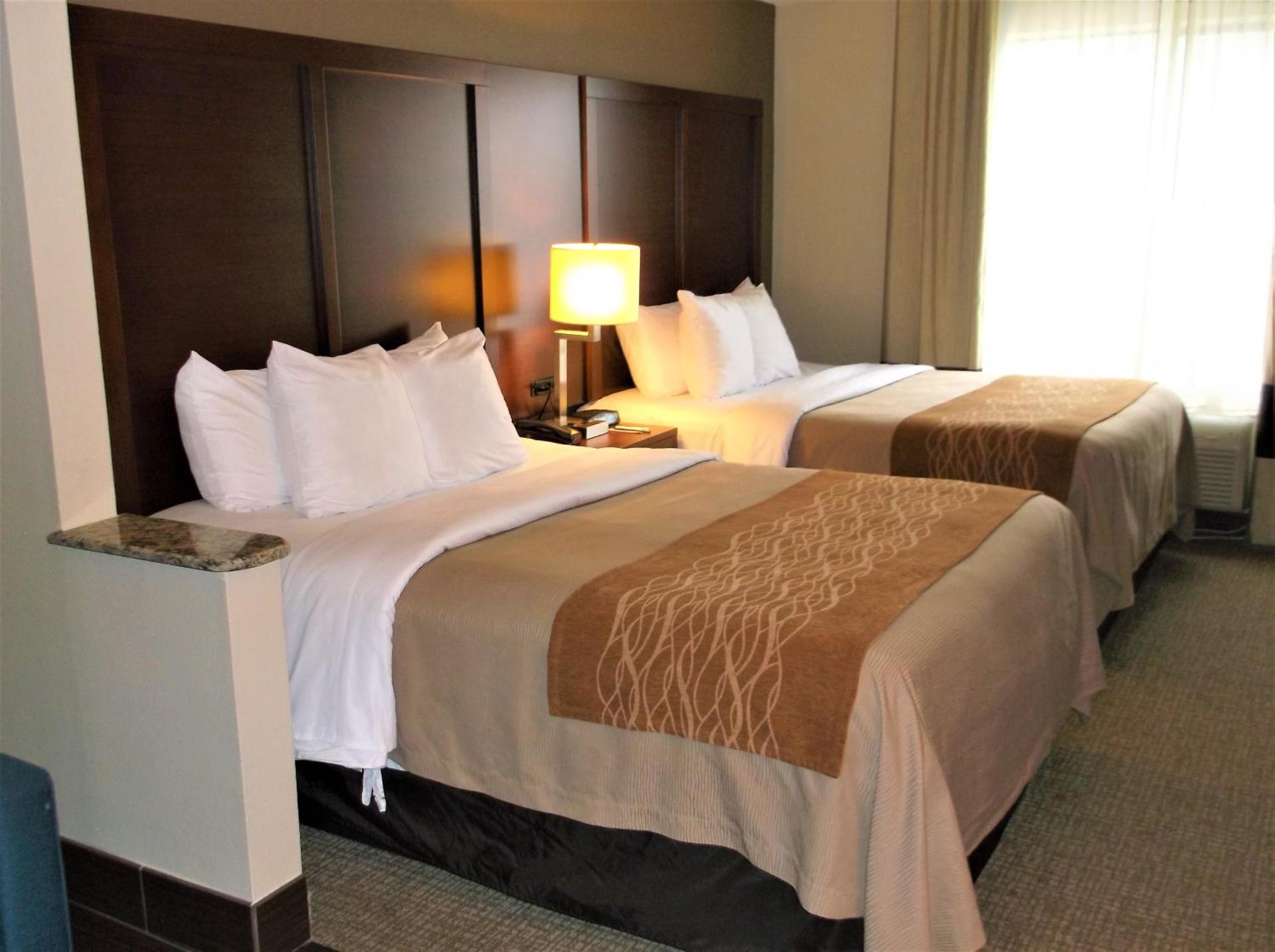 Queen Suite with Two Queen Beds - Non-Smoking