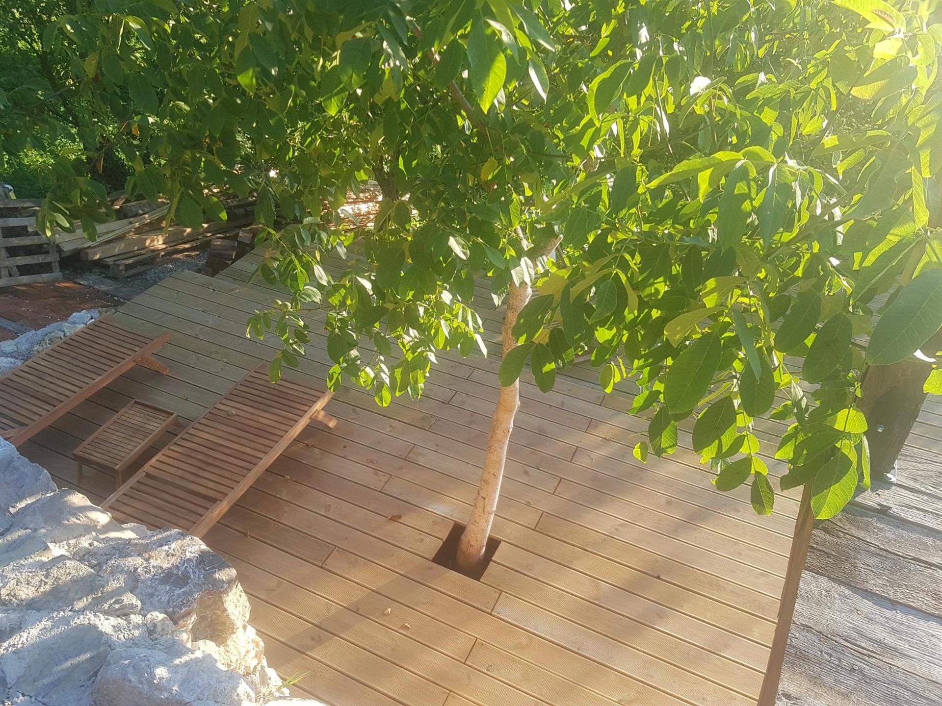 Brandy House Hedonica