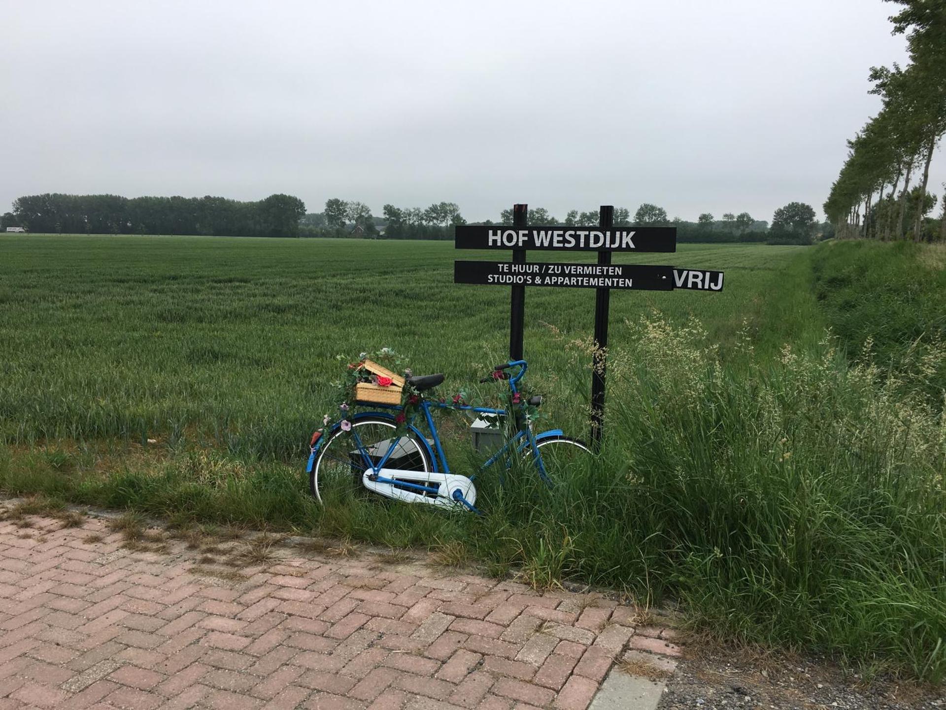 Property logo or sign