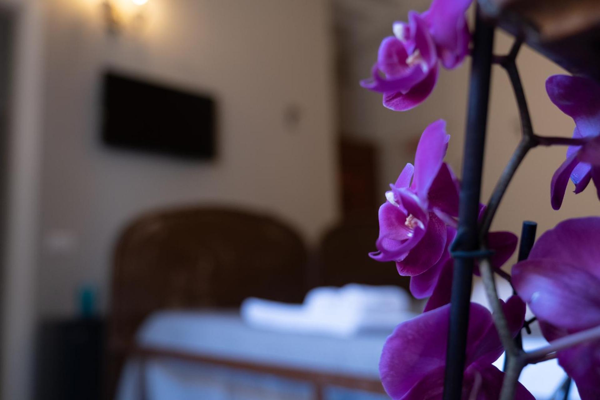 Città Di Castello Rooms