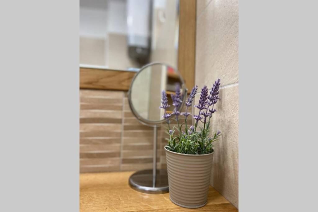 Apartment Sandra (2+2) with a breathtaking view 2