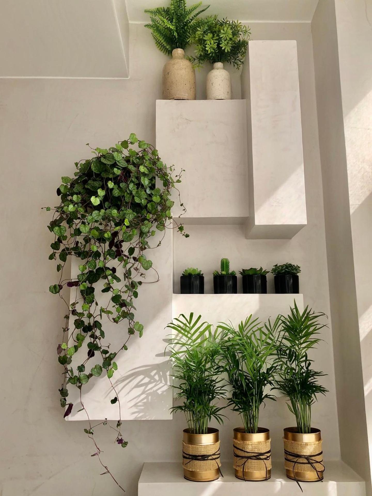 Apartamento T1 no centro TÊ-U