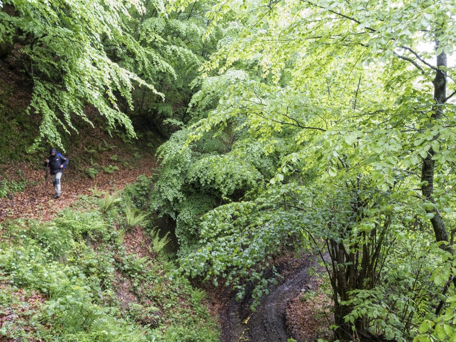 Apto. de Montaña La Campa en Felechosa (Aller)