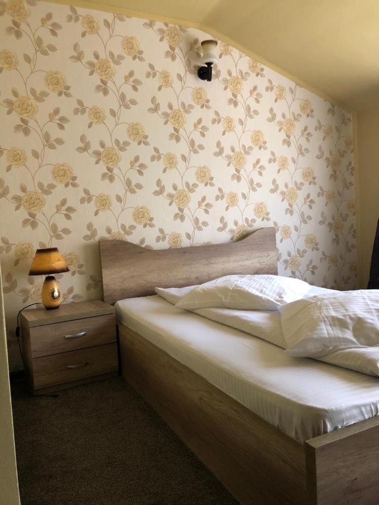 Pensiunea Mirela Peștera Urșilor