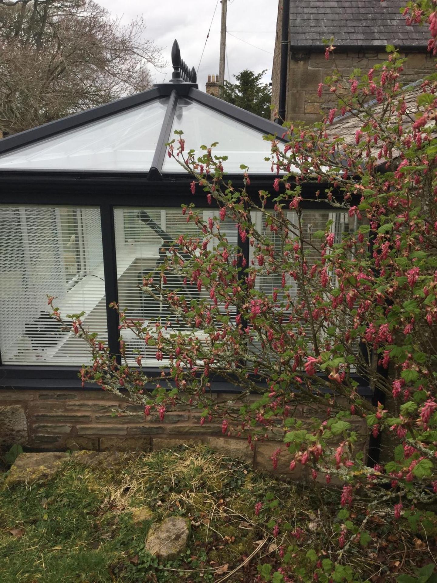 The Snug @ Corry Cottage