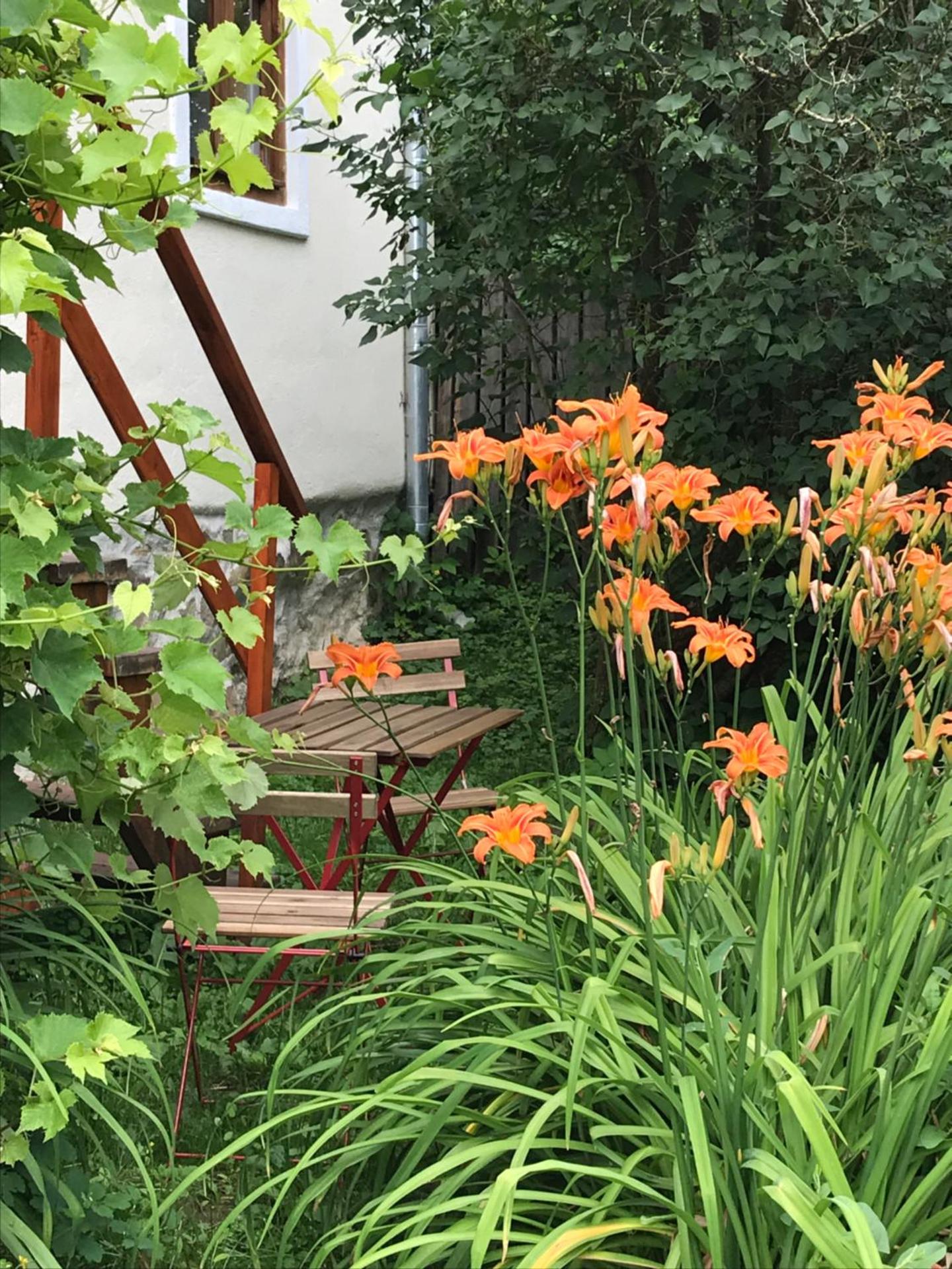 Dominic Boutique - Casa Mare