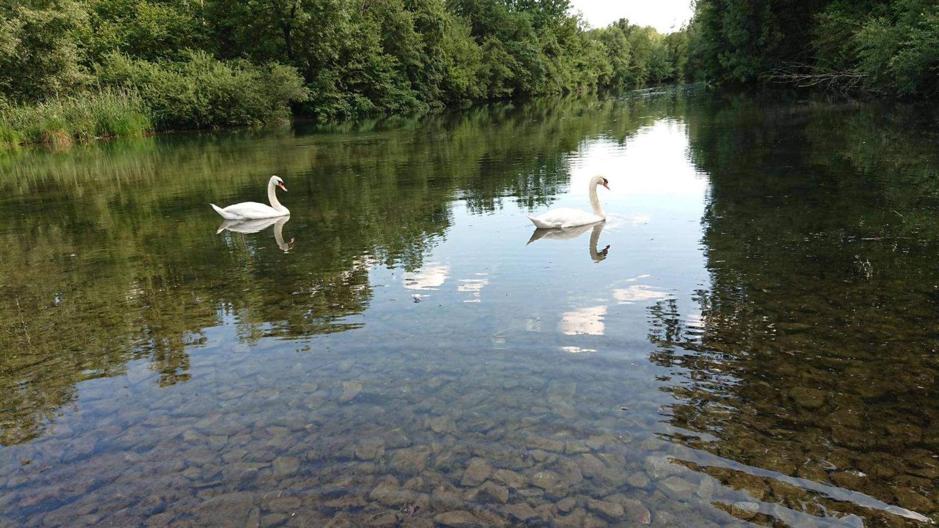 Ferienwohnung Kleb für bis zu 6 Personen