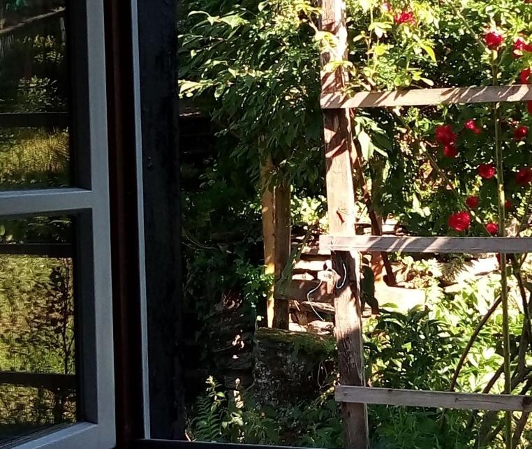 Haus am Oberen Mühlenberg mit GARTENNUTZUNG