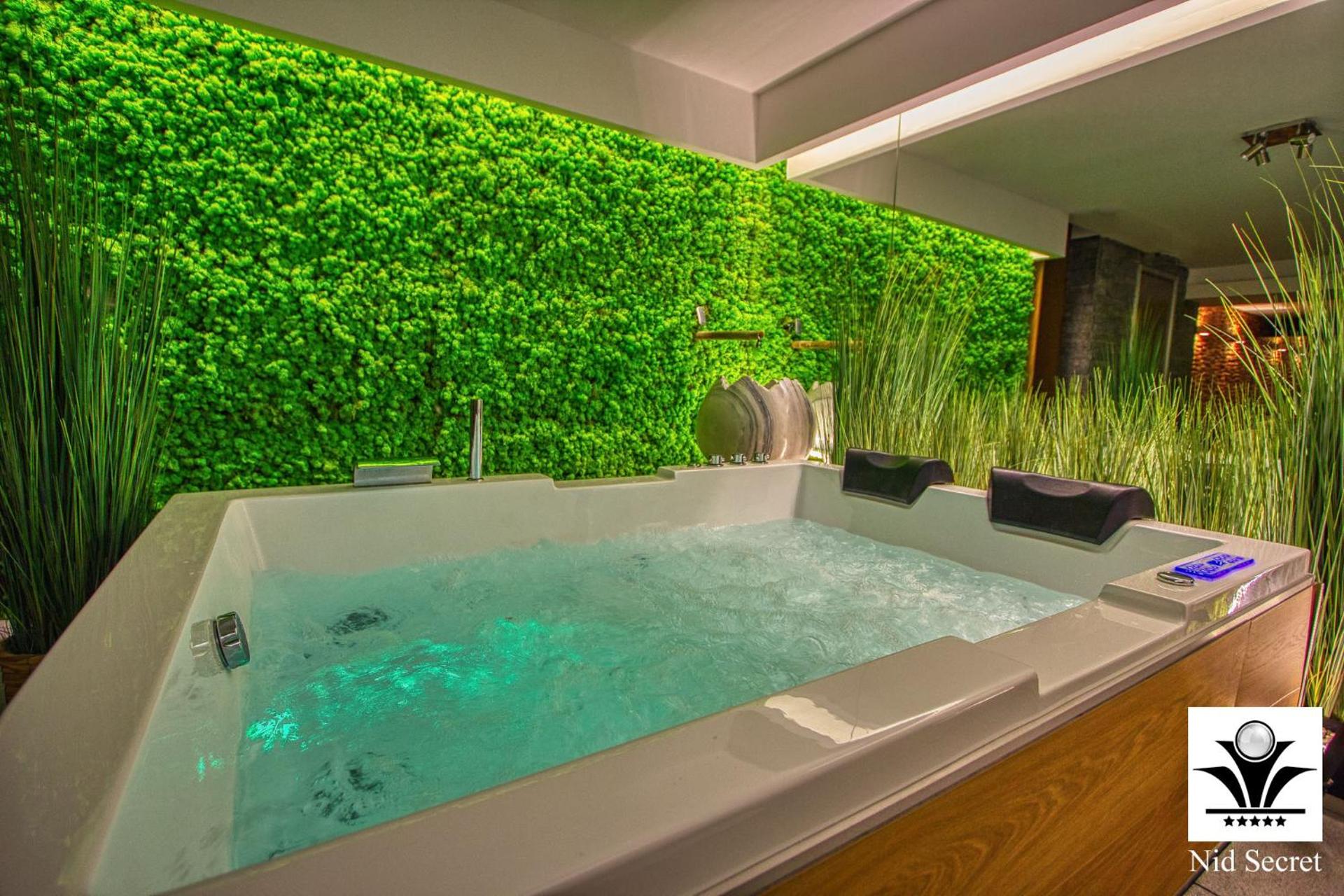 Panoramique 180 lac et montagne et Nid Secret spa romantique