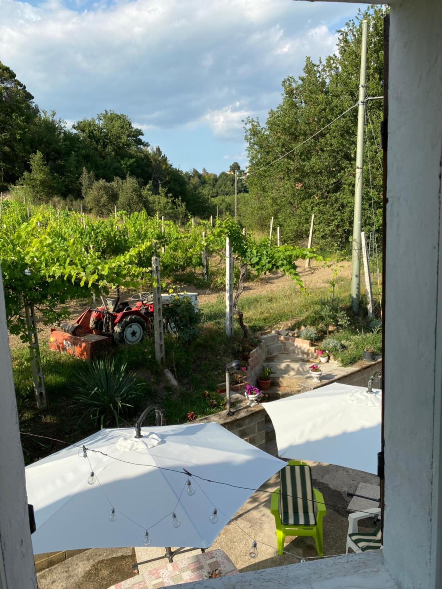 View (from property/room)