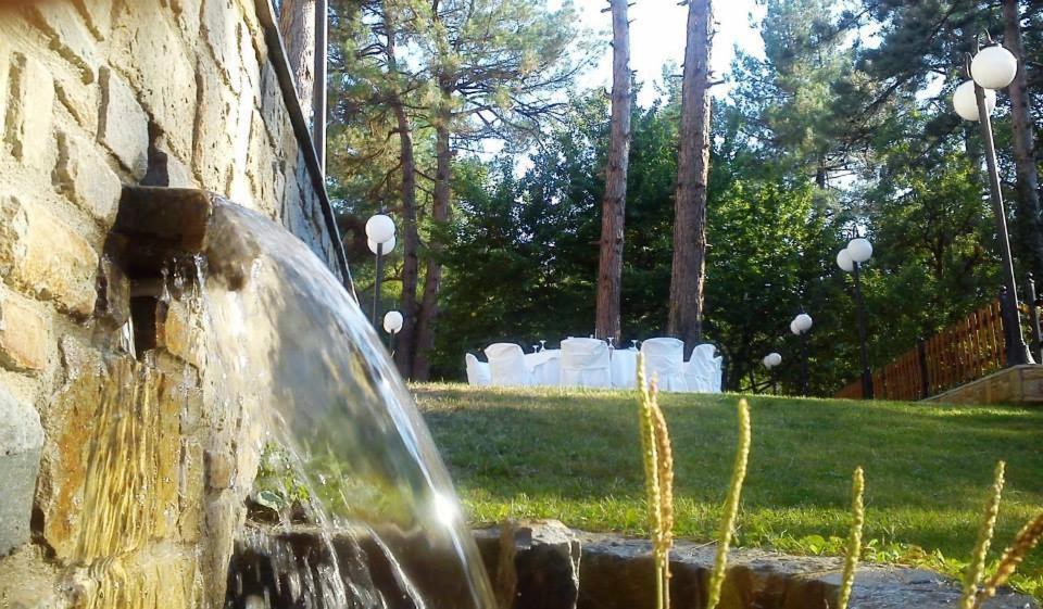 Milionis Forest Hotel