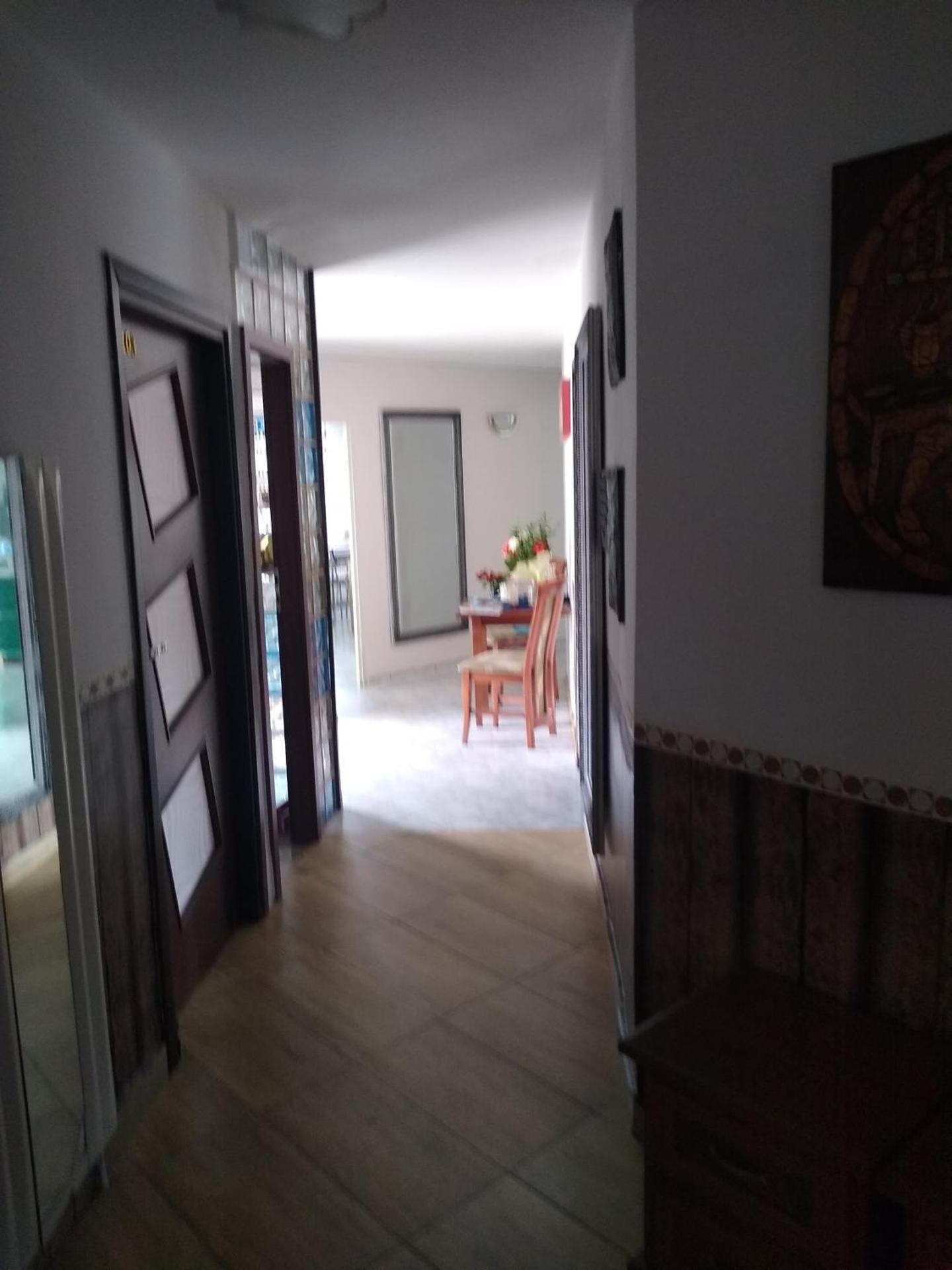 Willa Cosmos & Champion