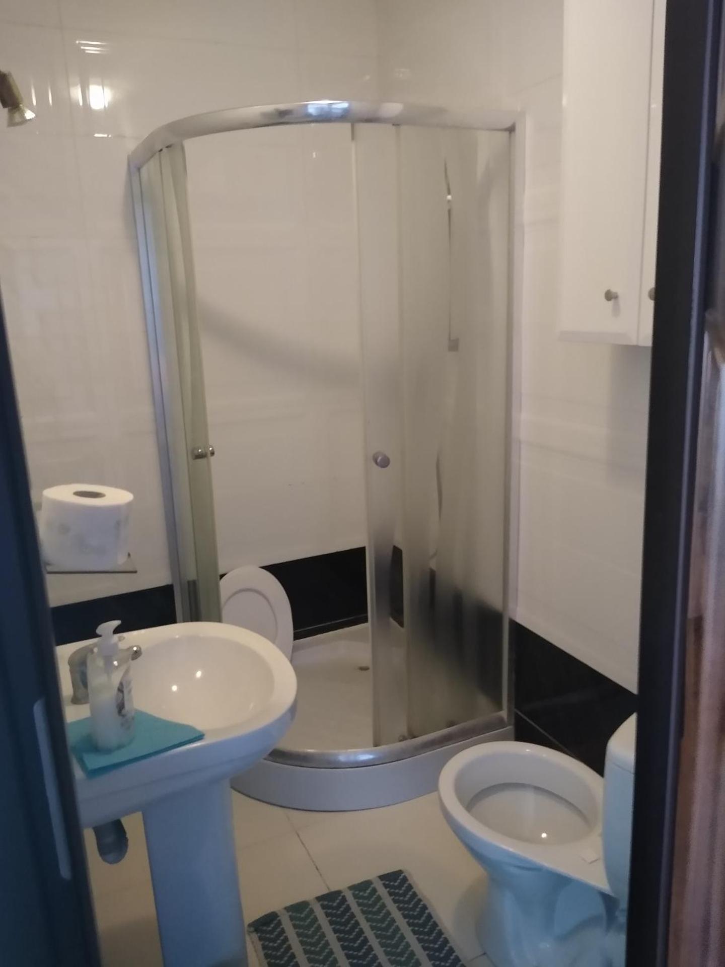 Willa Cosmos & Champion