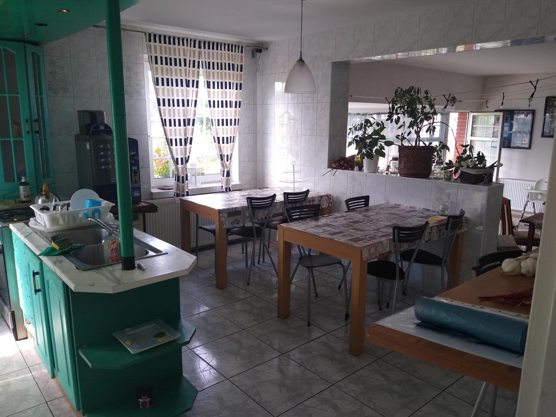 Willa Cosmos & Champion