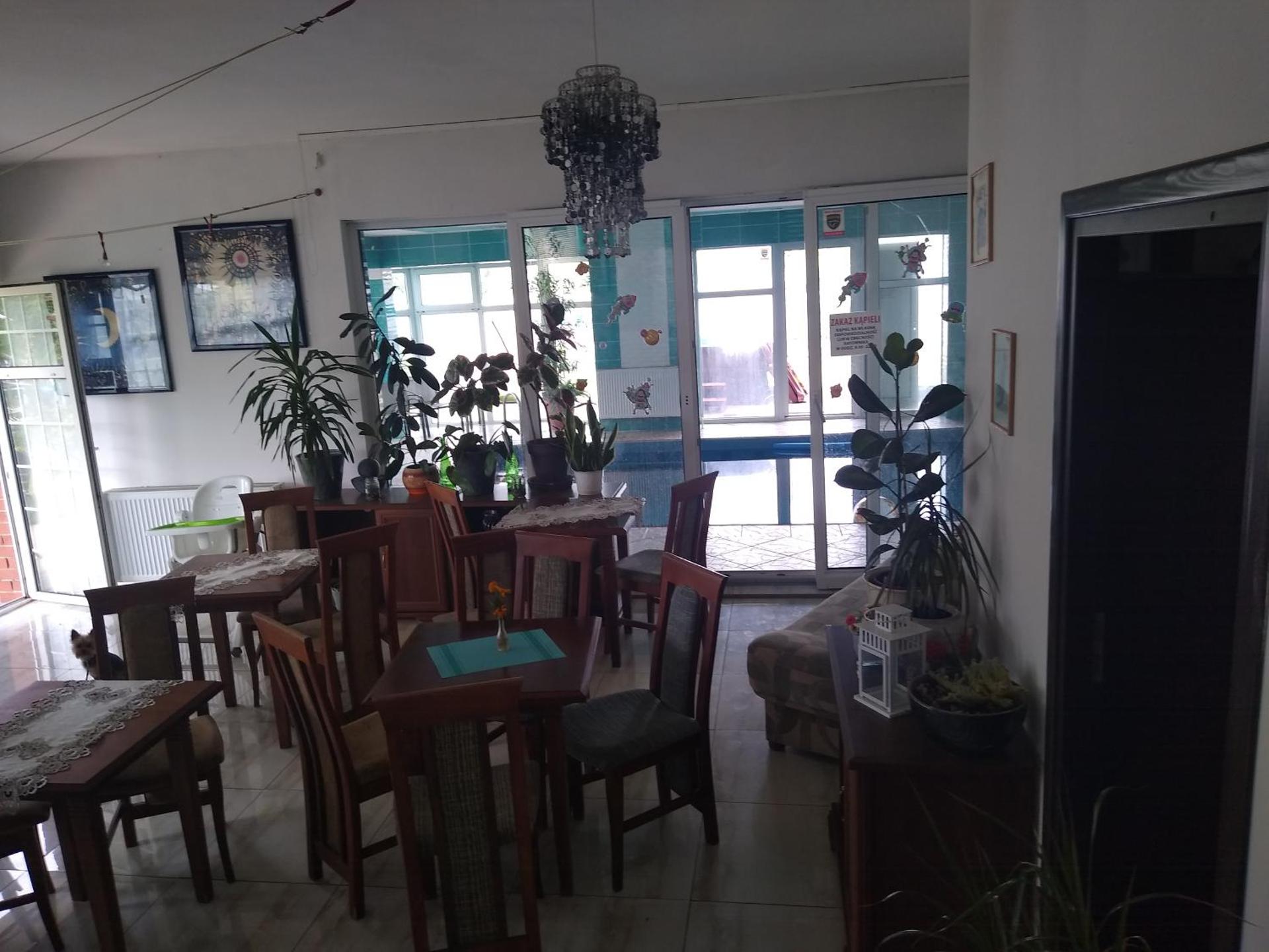 Willa Cosmos & Champion