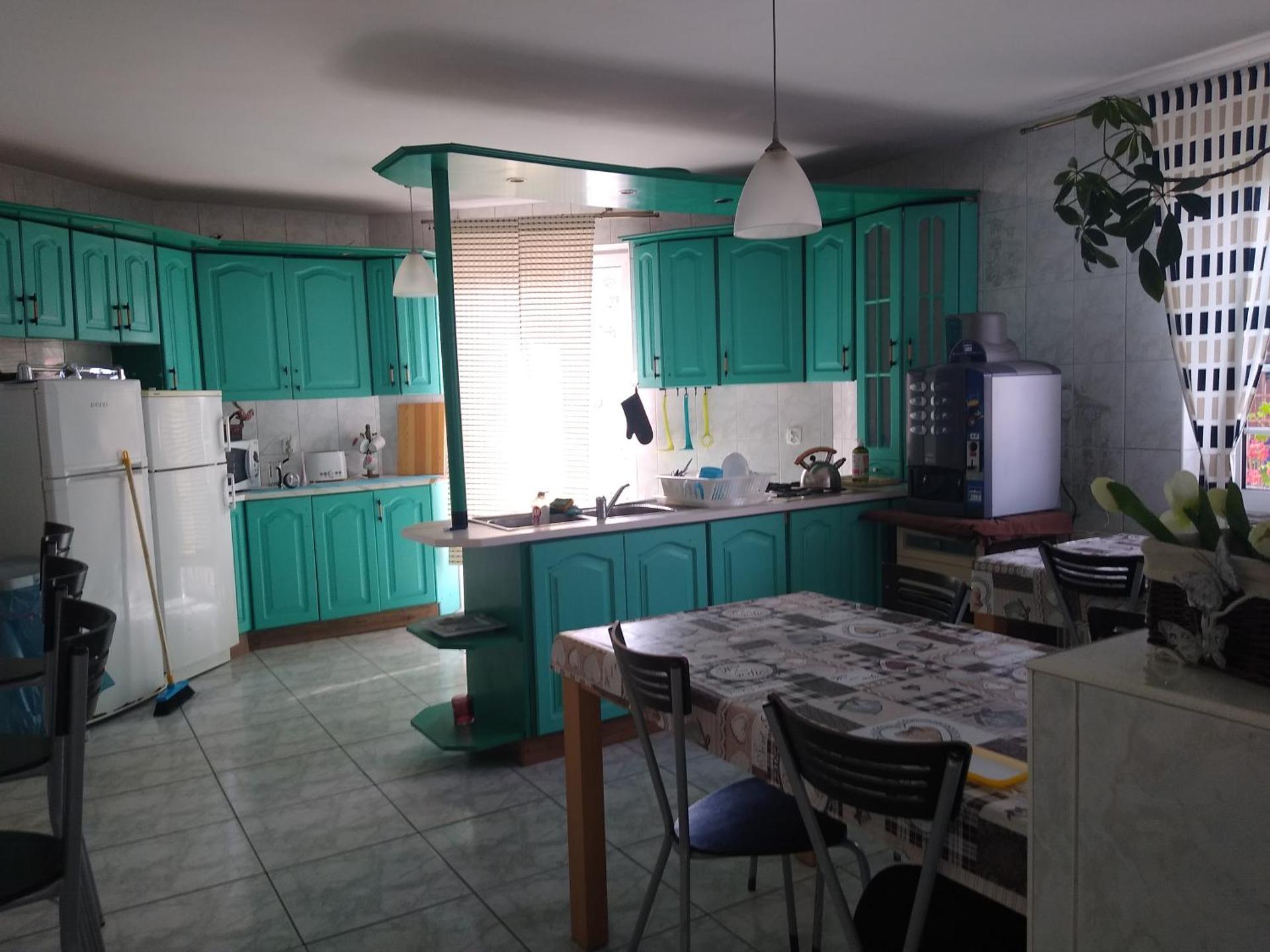 Willa Cosmos & Champion