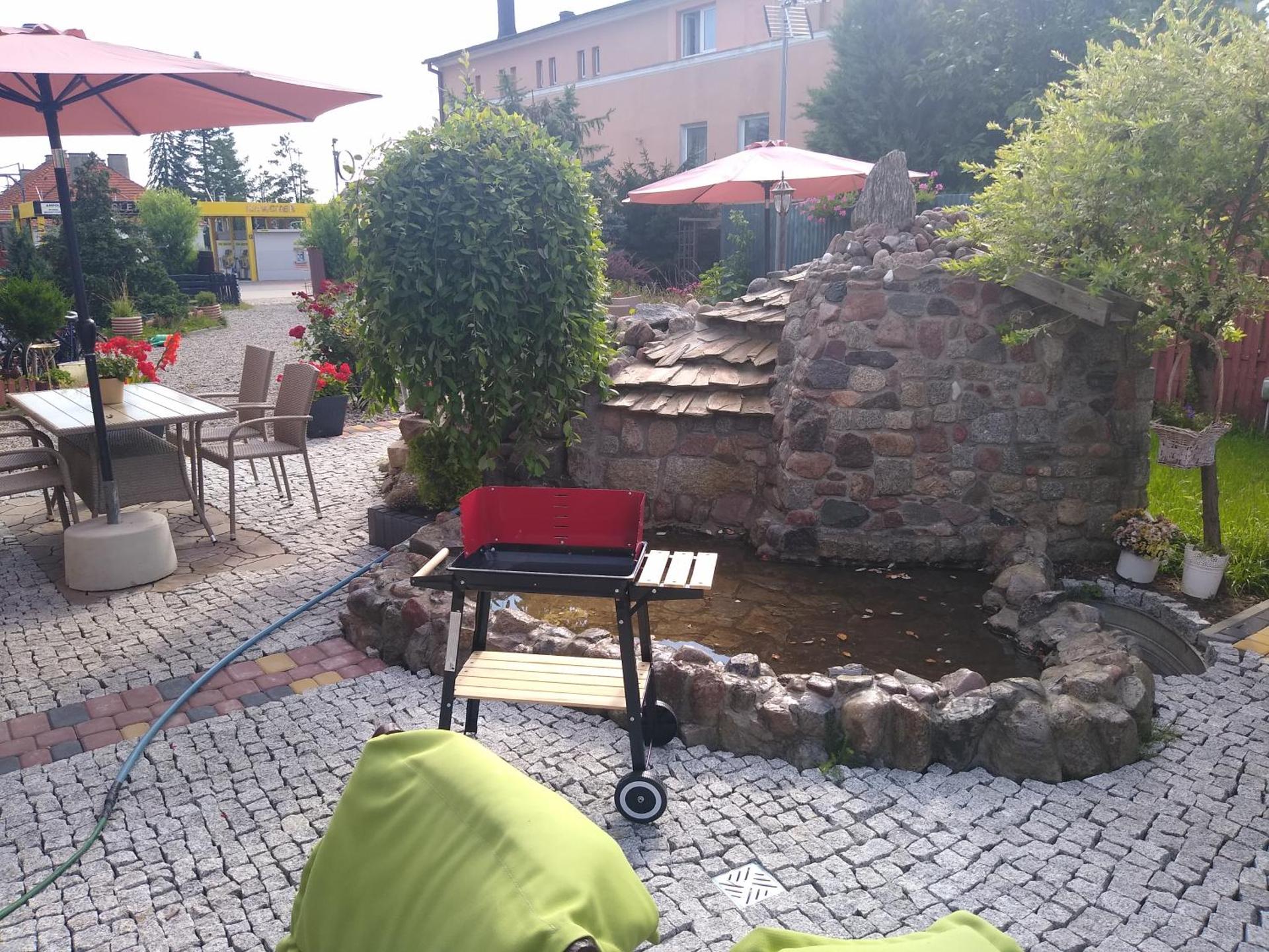 Willa Cosmos & Champion