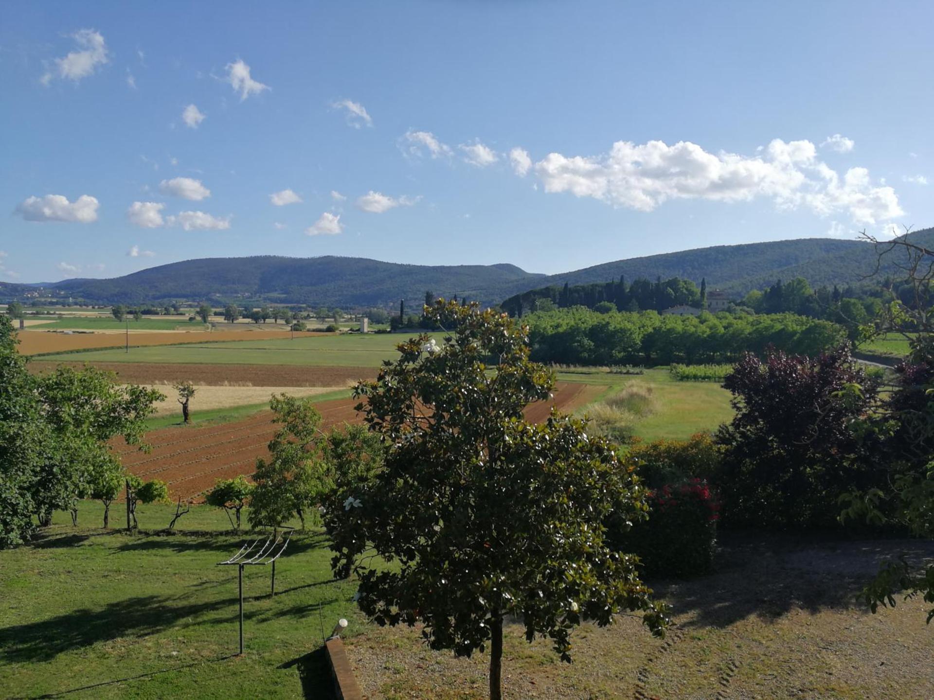 Apartment with Garden View