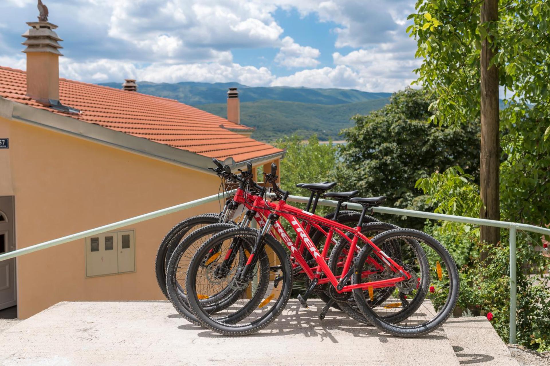 Rooms and Apartments Budiša