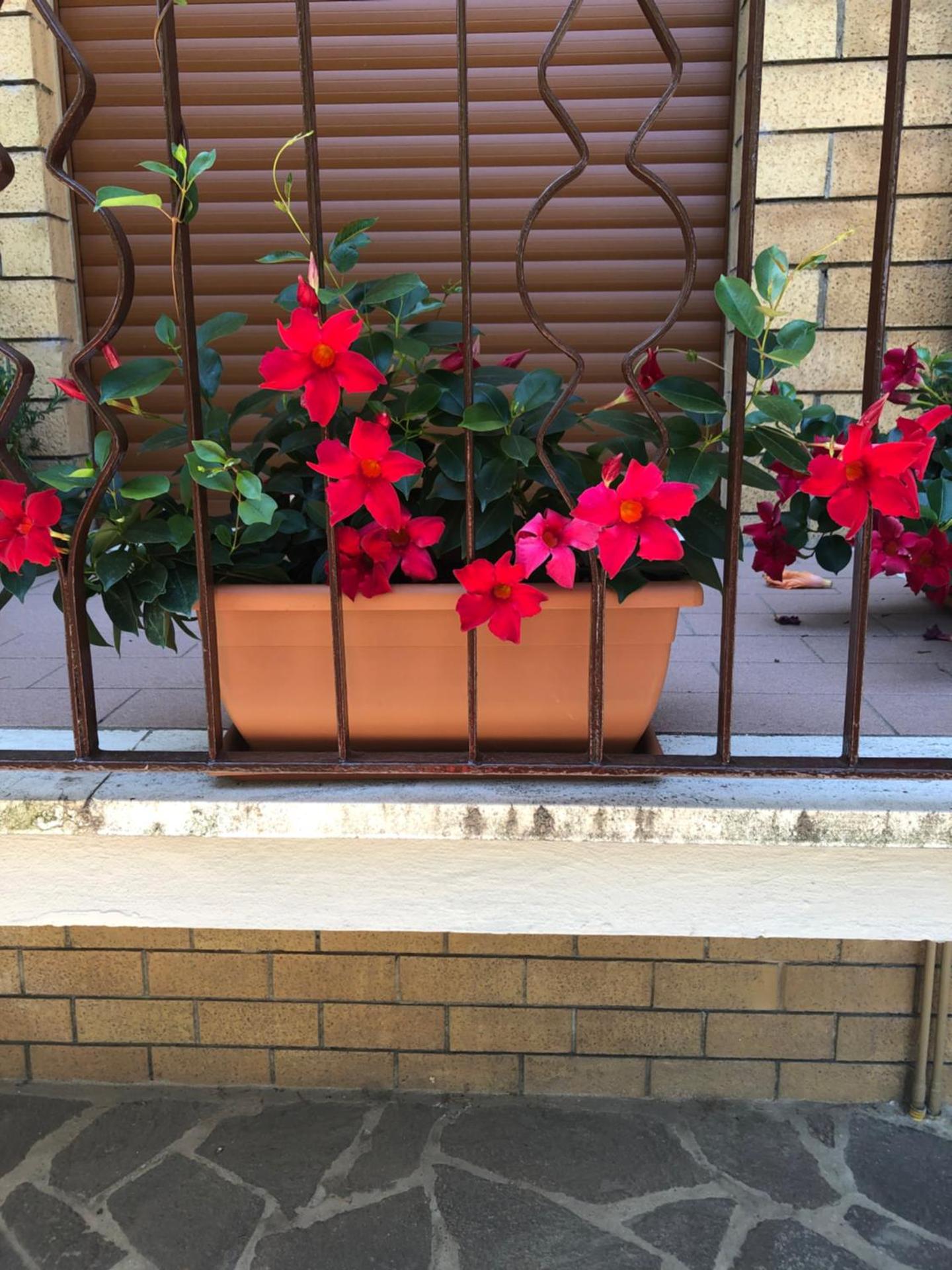 "CASA ROSI" Tel trequattrozero trentatre tredici seiquattrouno