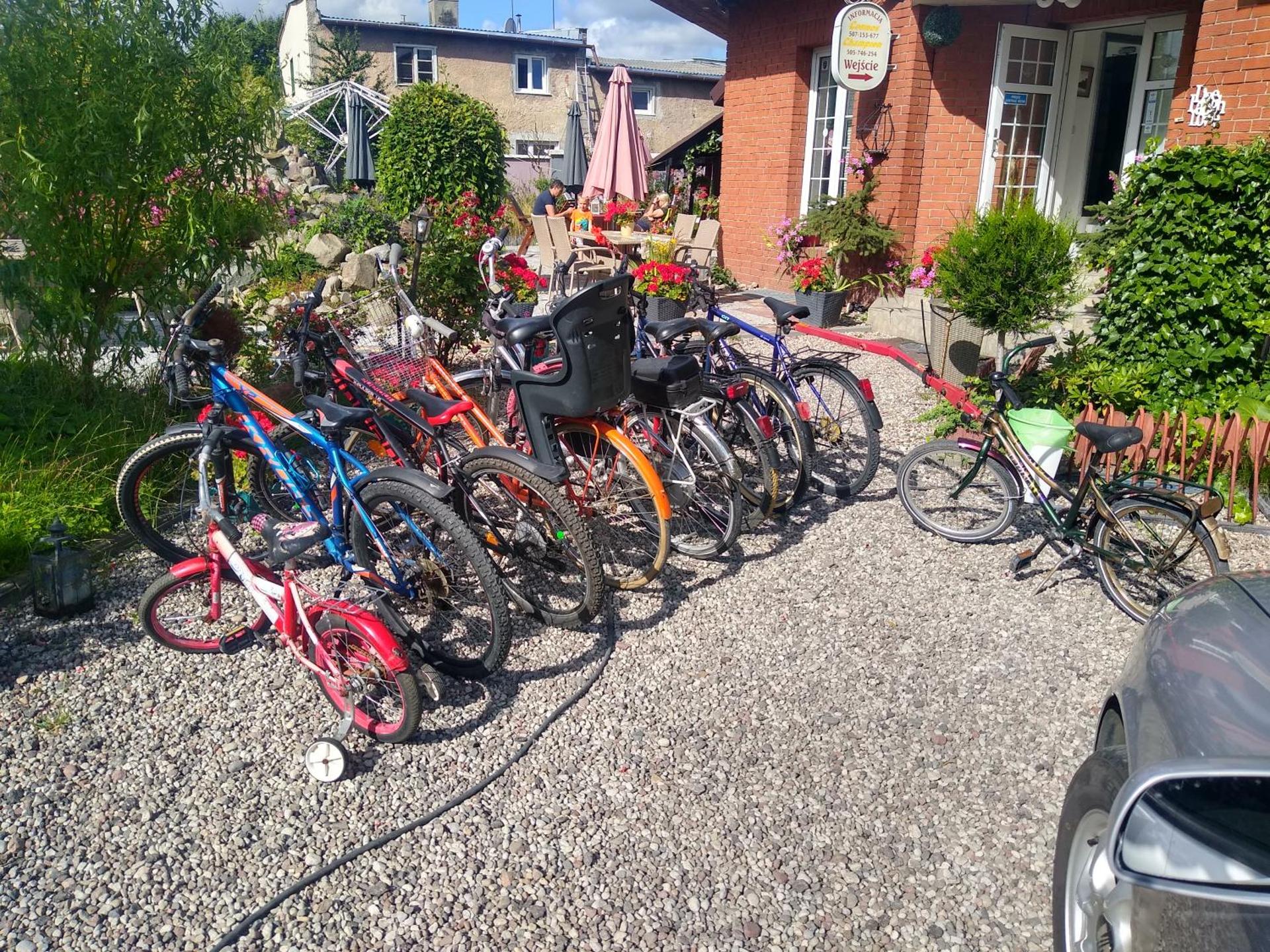 Willa Cosmos & Champion