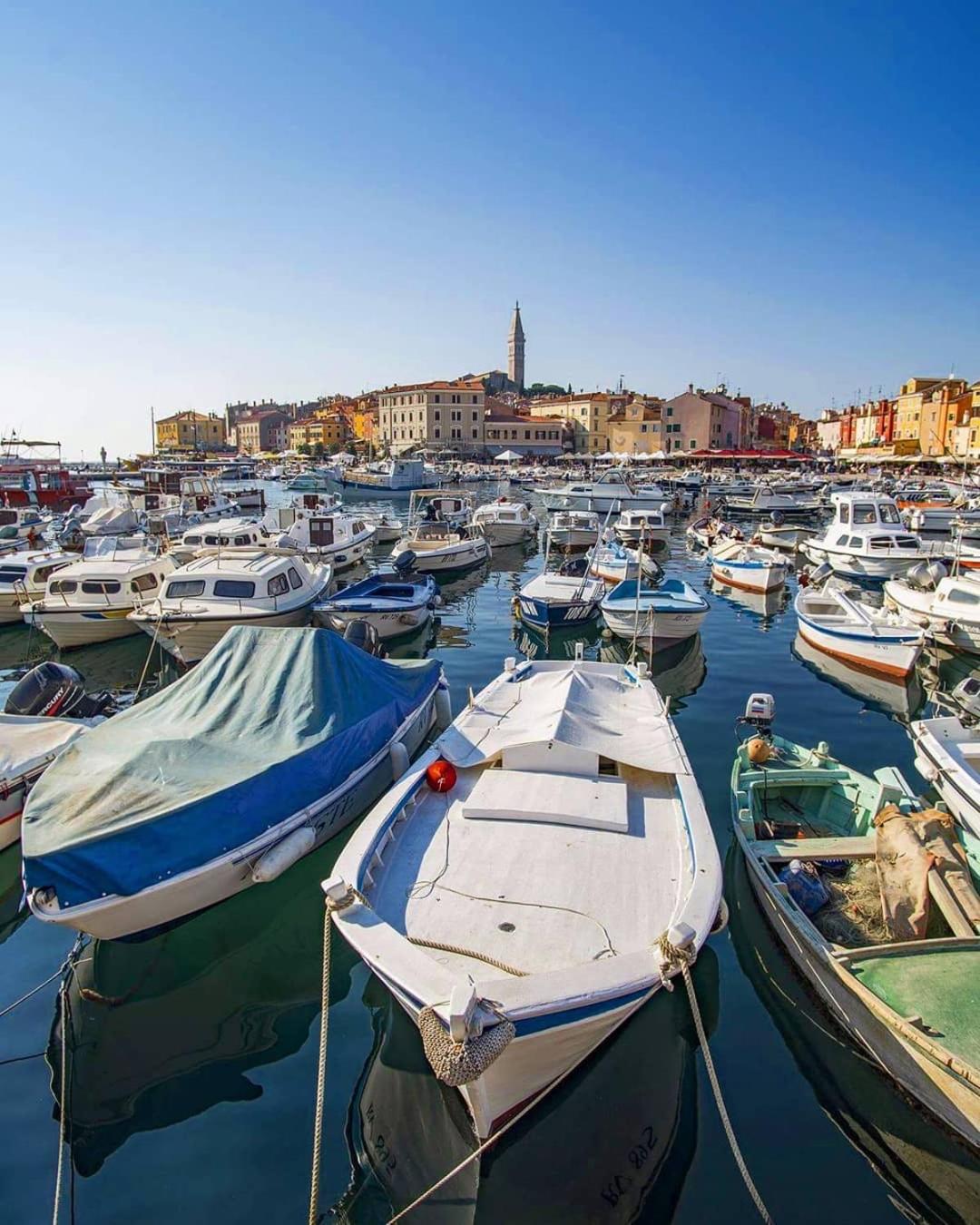 Apartment Matteotti 199