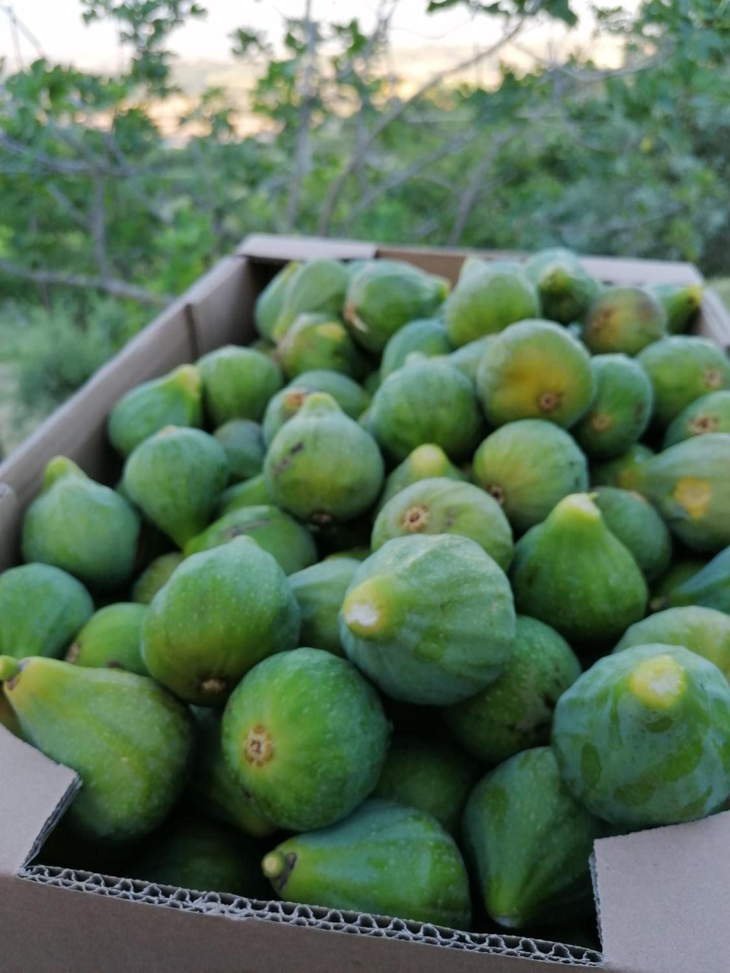 Agriturismo Etico Le Grazie