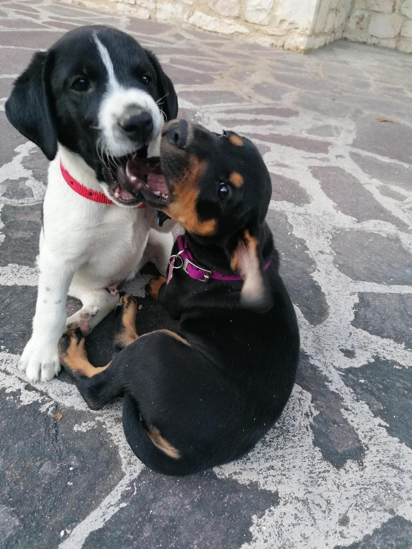 Agriturismo Etico Le Grazie